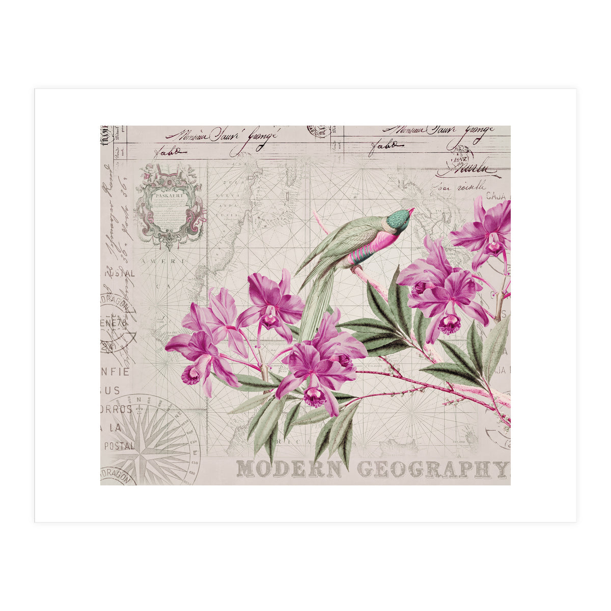 The Birds Voyage Of Discovery (Print Only)