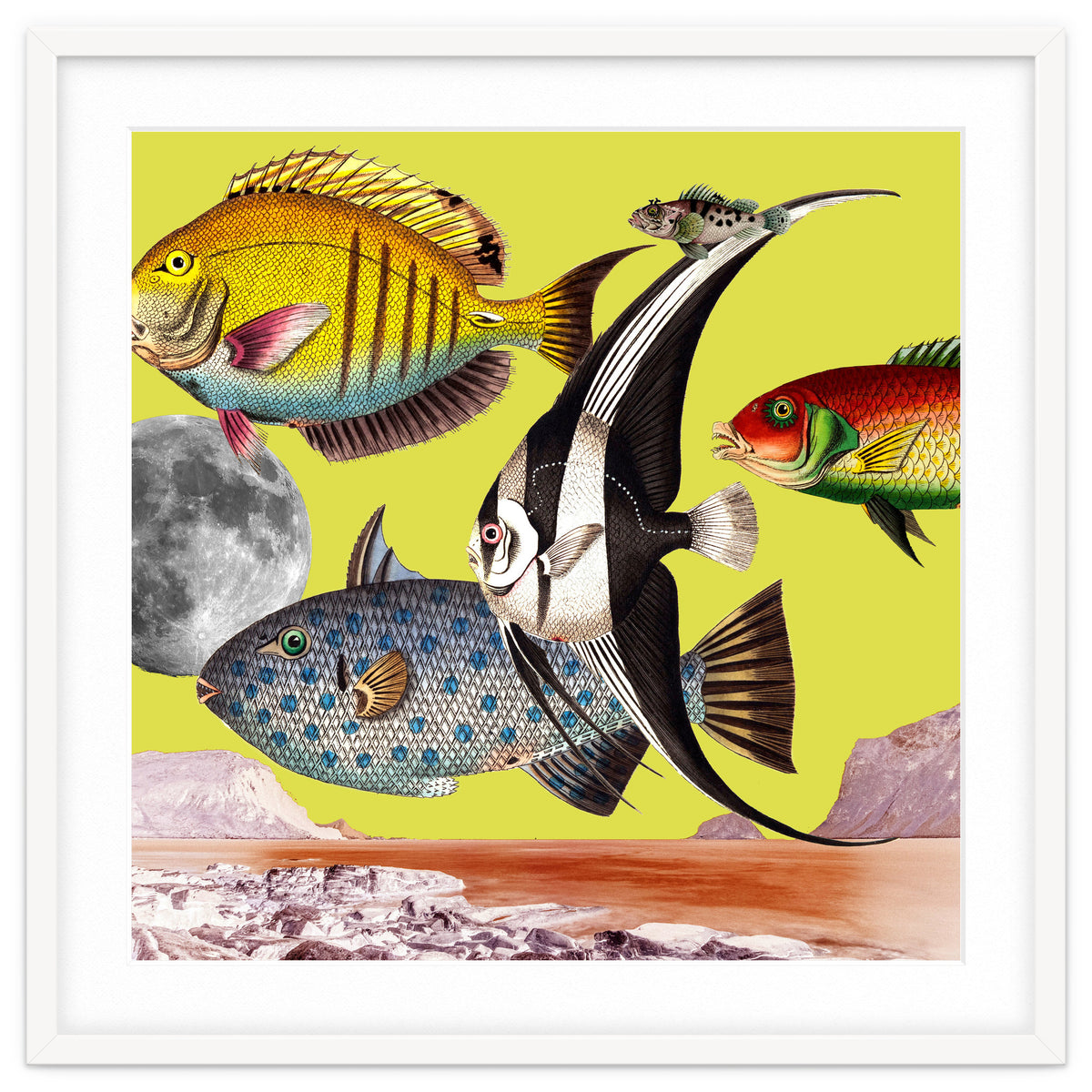 Plenty Of Fish In The Sea Yellow