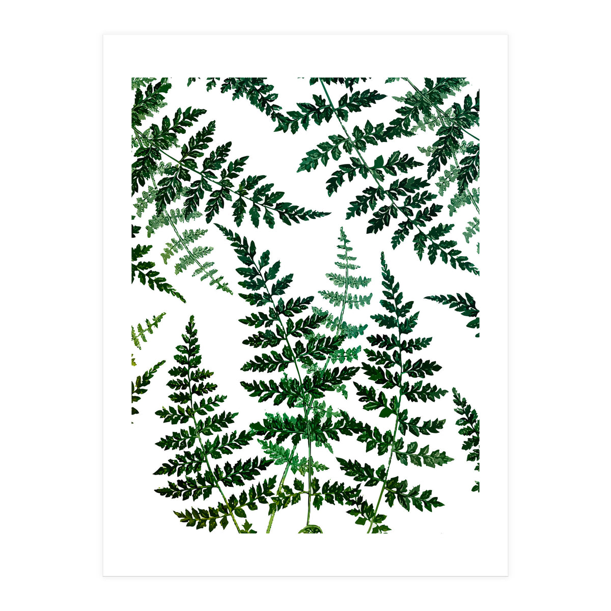 Botanical Bliss (Print Only)