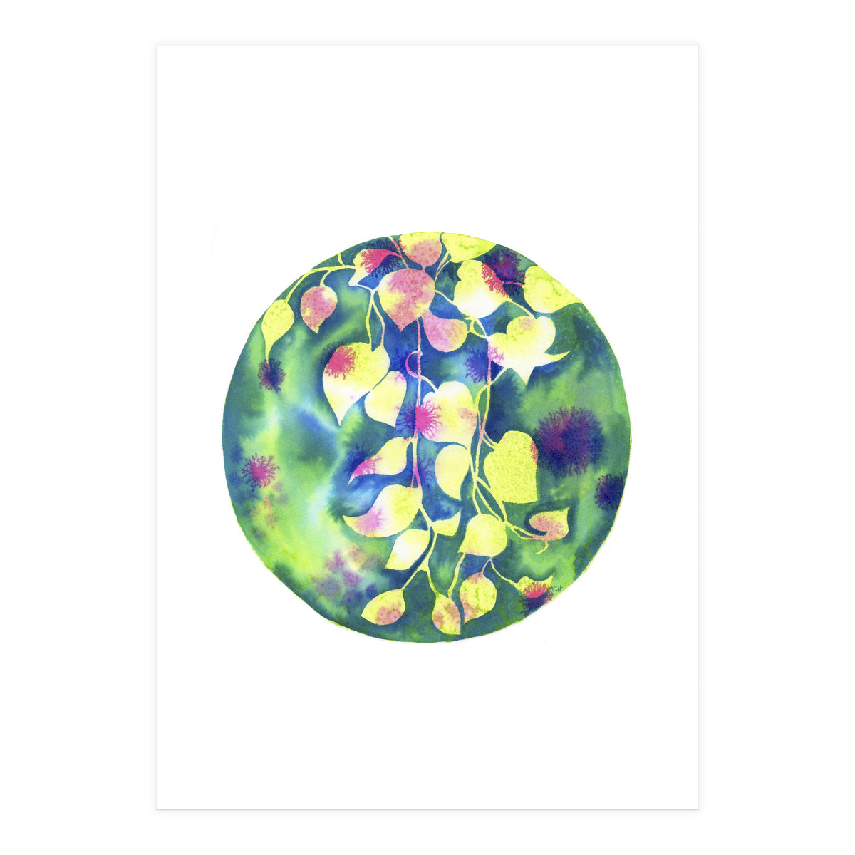 Vine Shadows (Print Only)