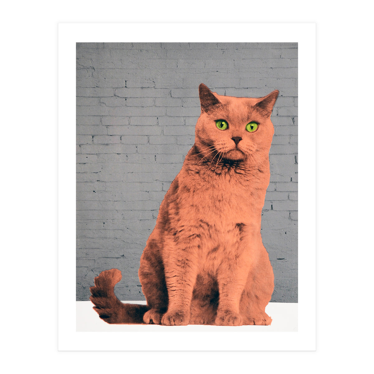 Everybody Wants To Be A Cat  (Print Only)