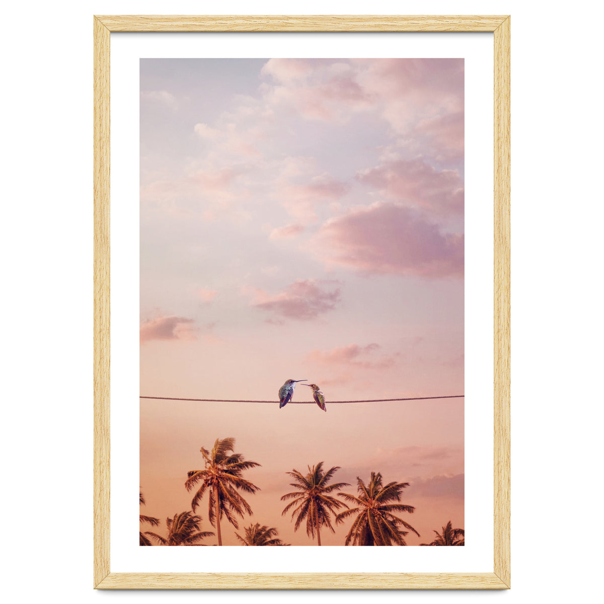 Hummingbirds In Love