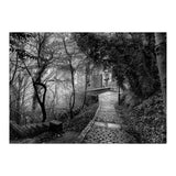 Monochrome path (Print Only) thumbnail