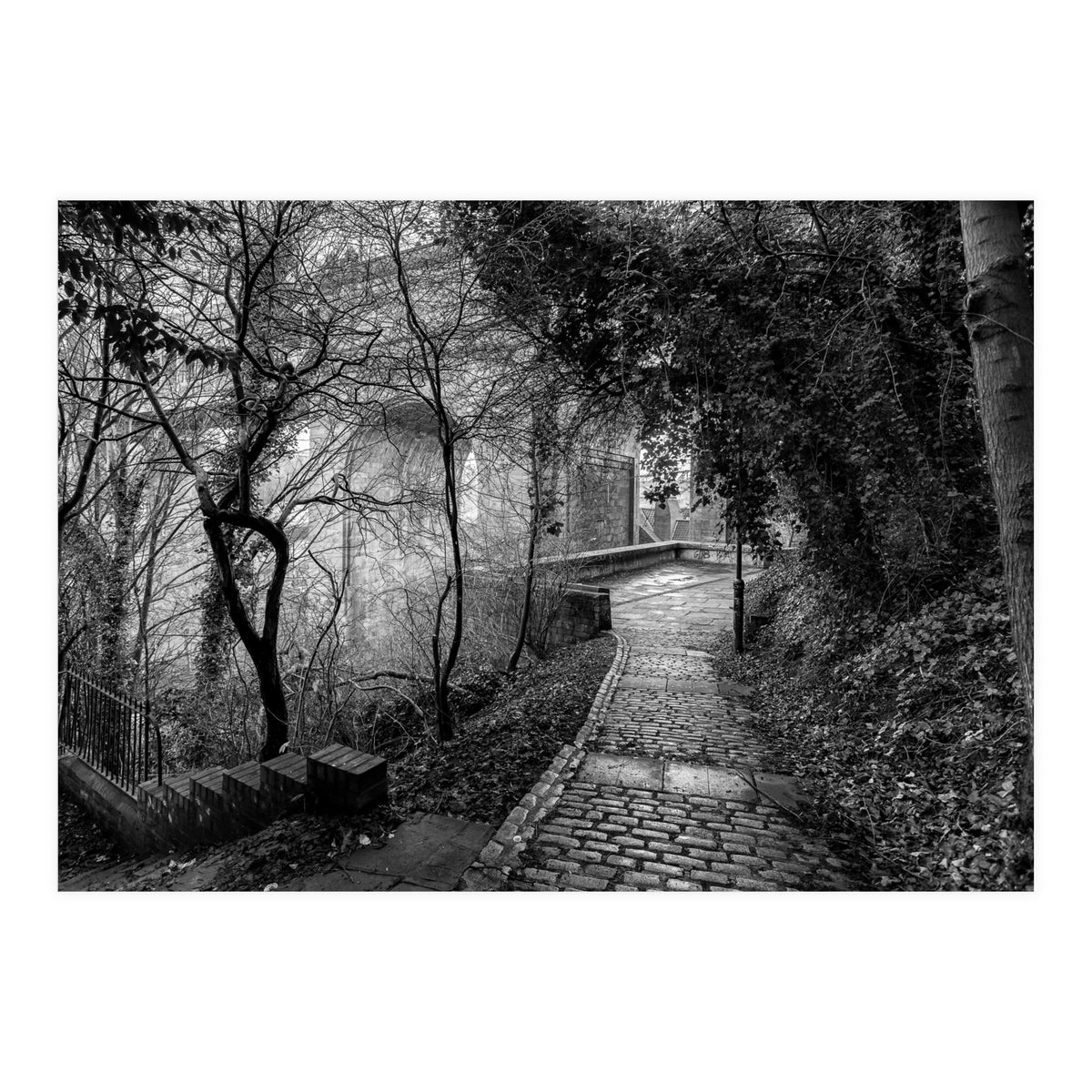 Monochrome path (Print Only)