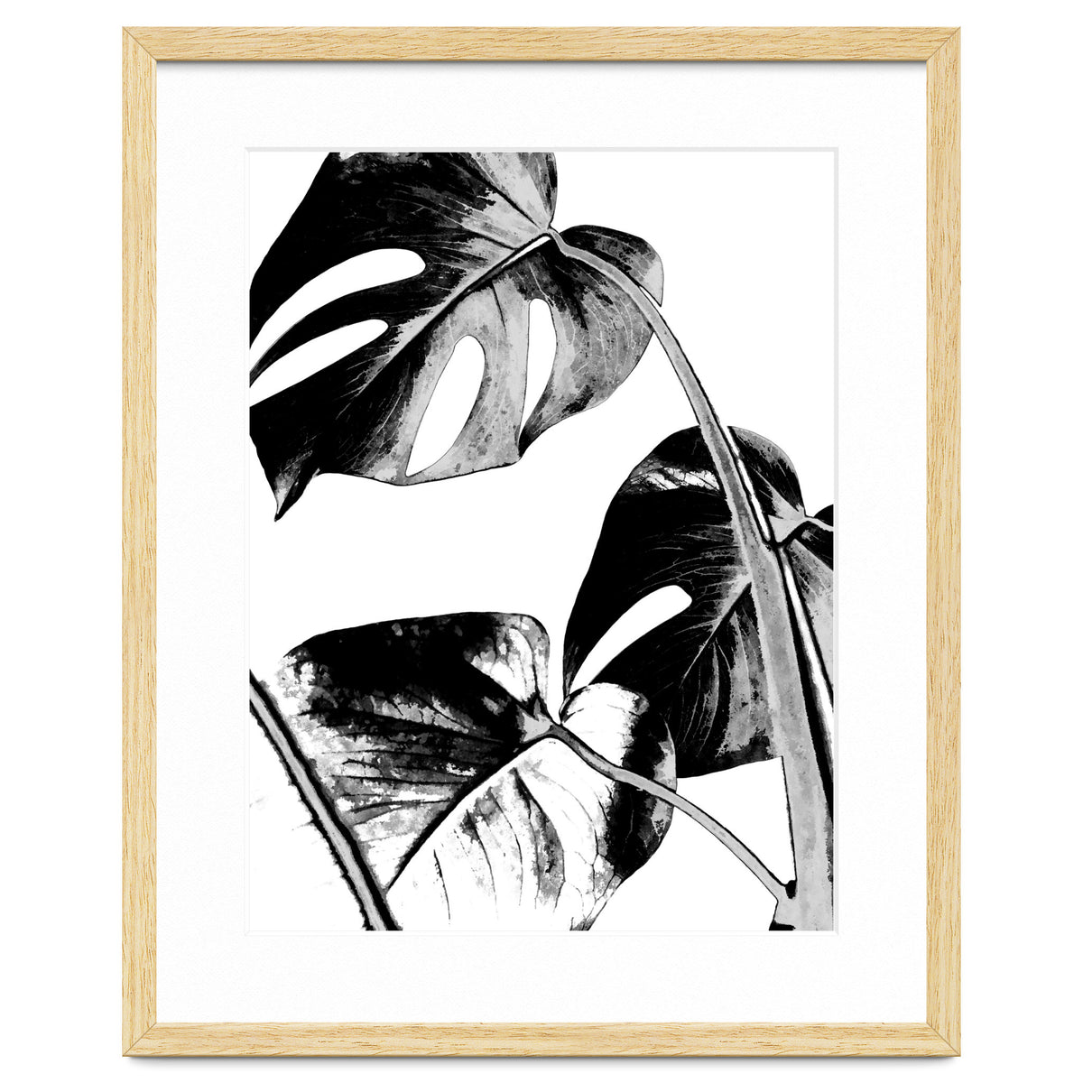Black Tropical Leaves