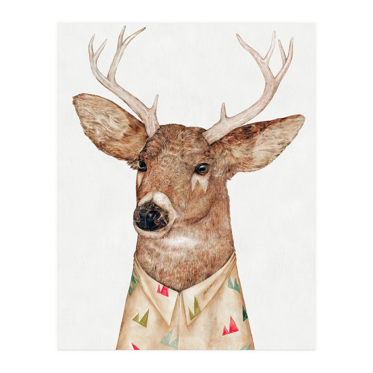 Whitetailed Deer (Print Only)