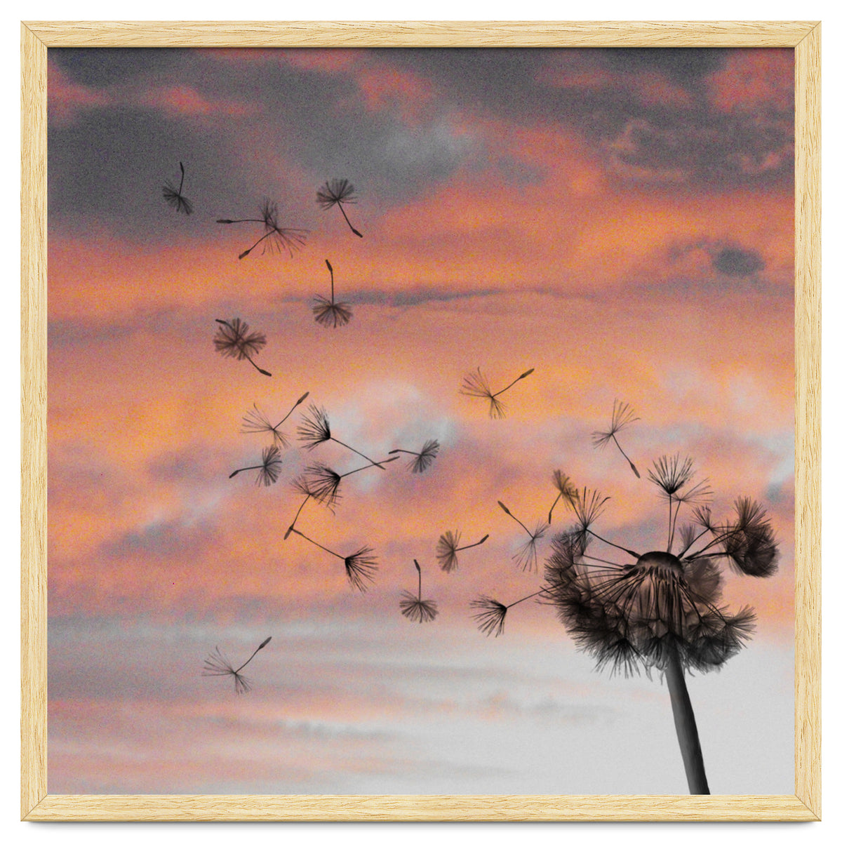 And The Days Went By