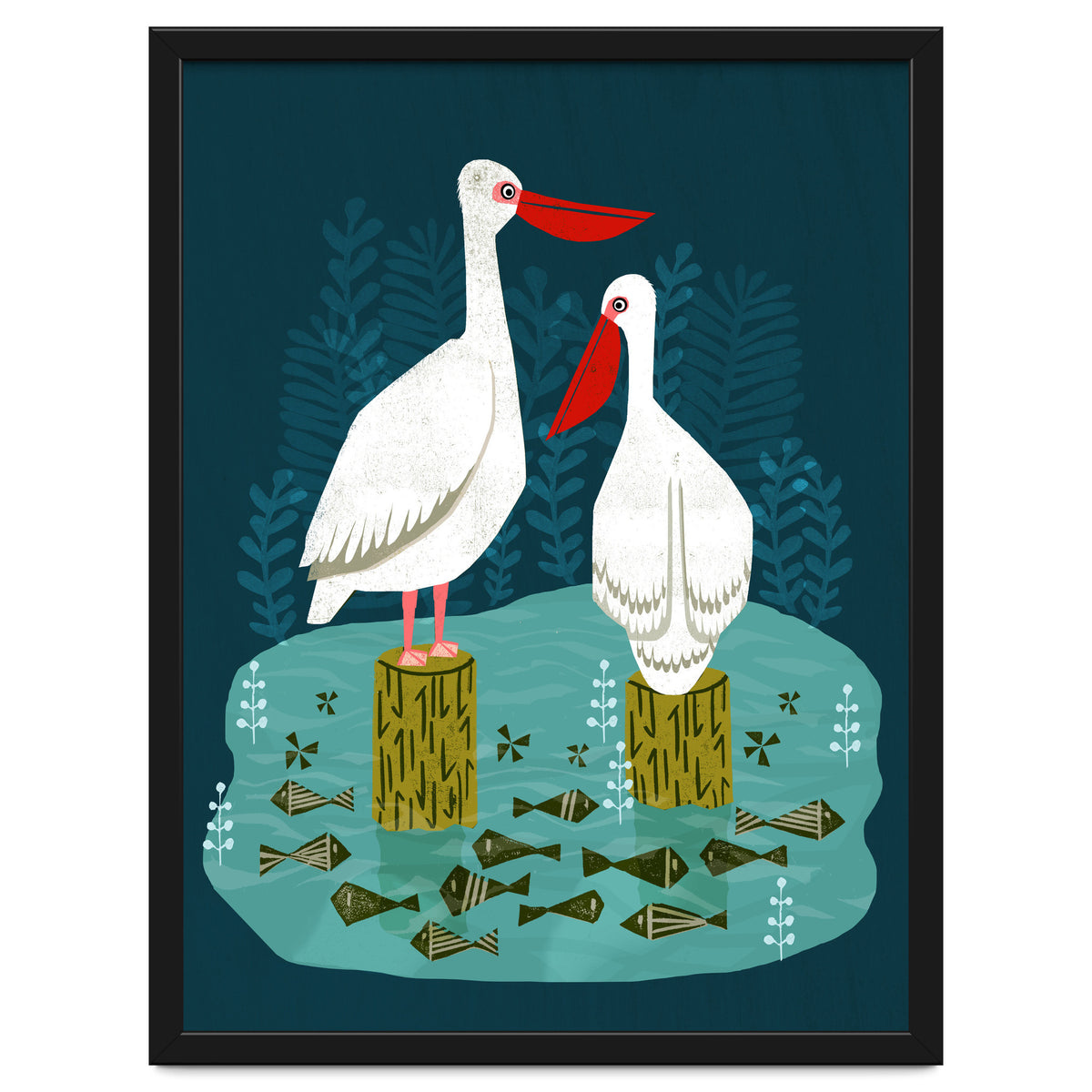 Pelicans