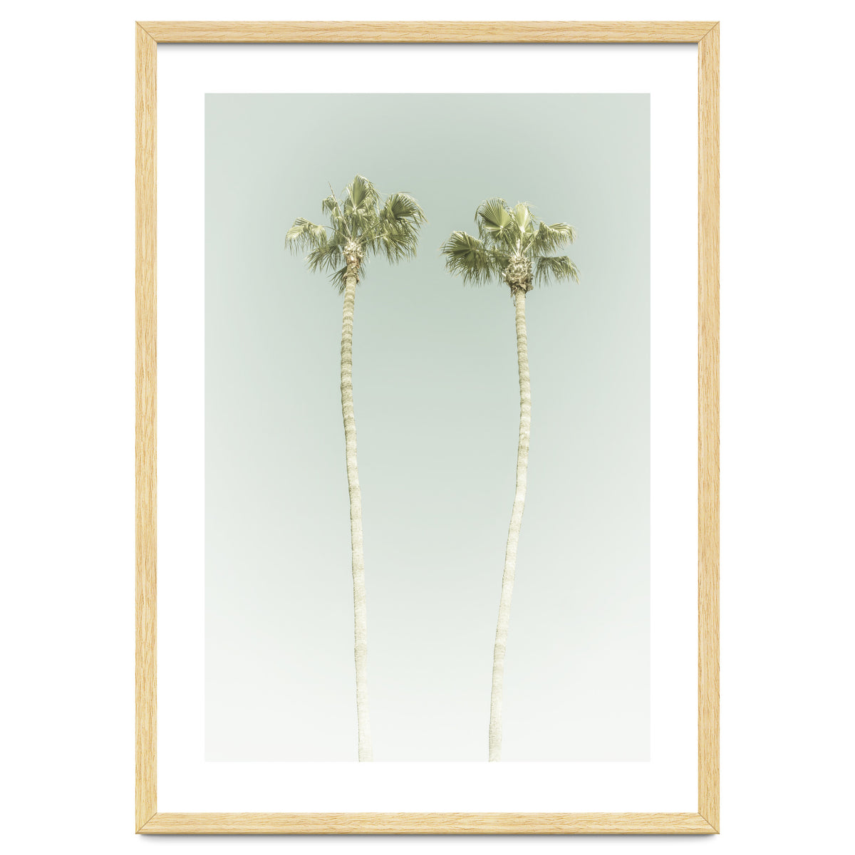 Vintage Palm Trees