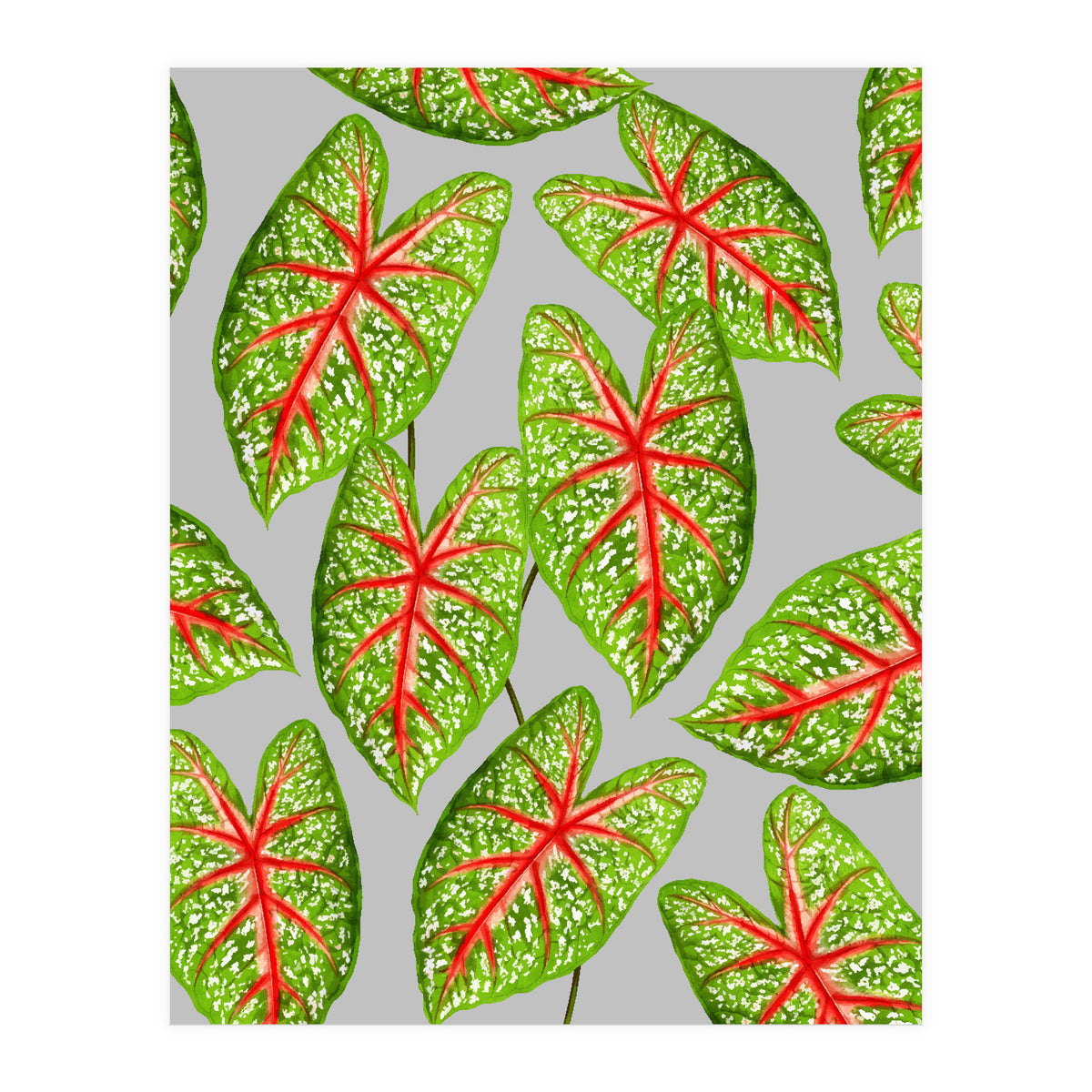 Expression Of Peace (Print Only)