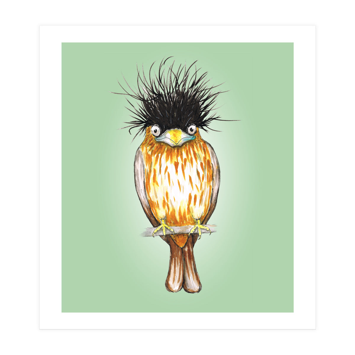 Brahminy starling (Print Only)