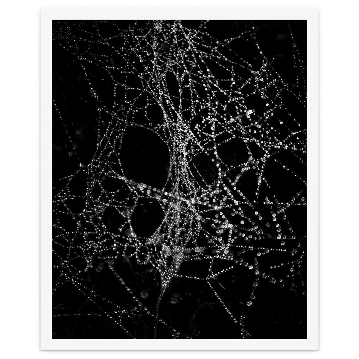 Spiderweb No 4