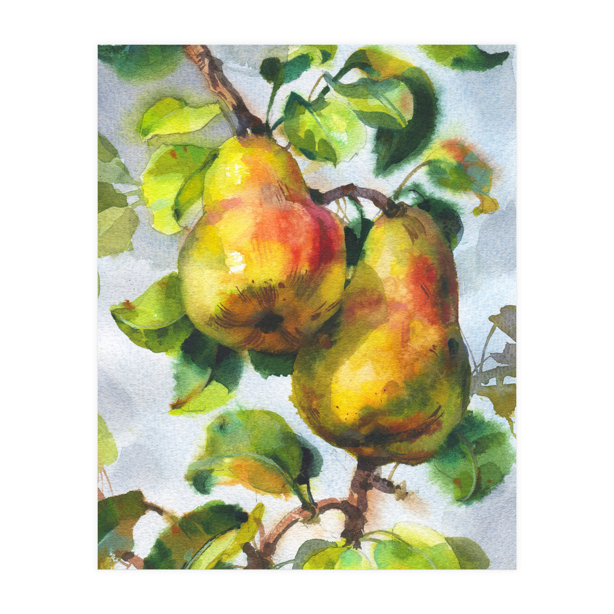 Pears (Print Only)