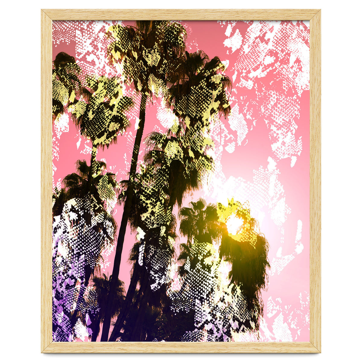 Snake sunset in paradise