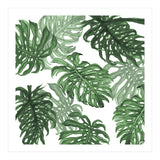 Monstera Deliciosa (Print Only) thumbnail