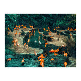 Flamingo Creek (Print Only) thumbnail