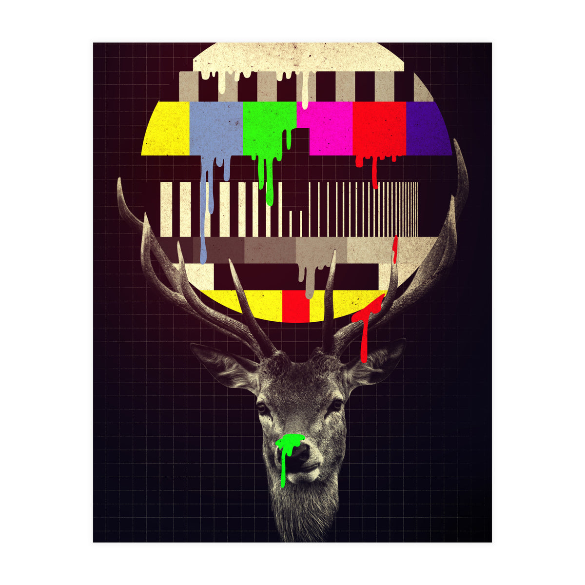 No Signal (Print Only)