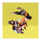 Crazy Ab Rabbit (Print Only) thumbnail