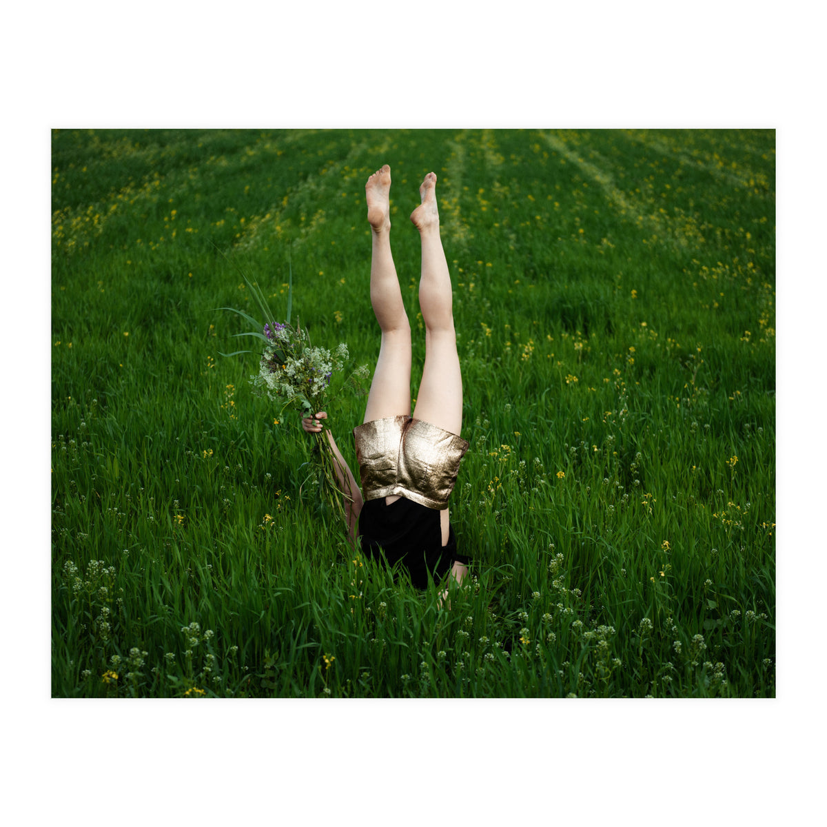 Gravity (Print Only)