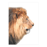 Lion Profile (Print Only) thumbnail