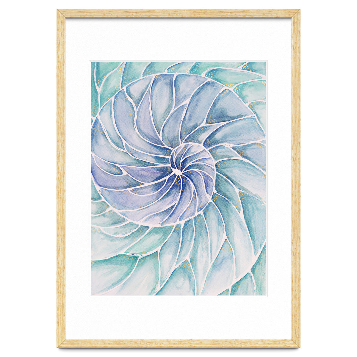 The inside of a shell