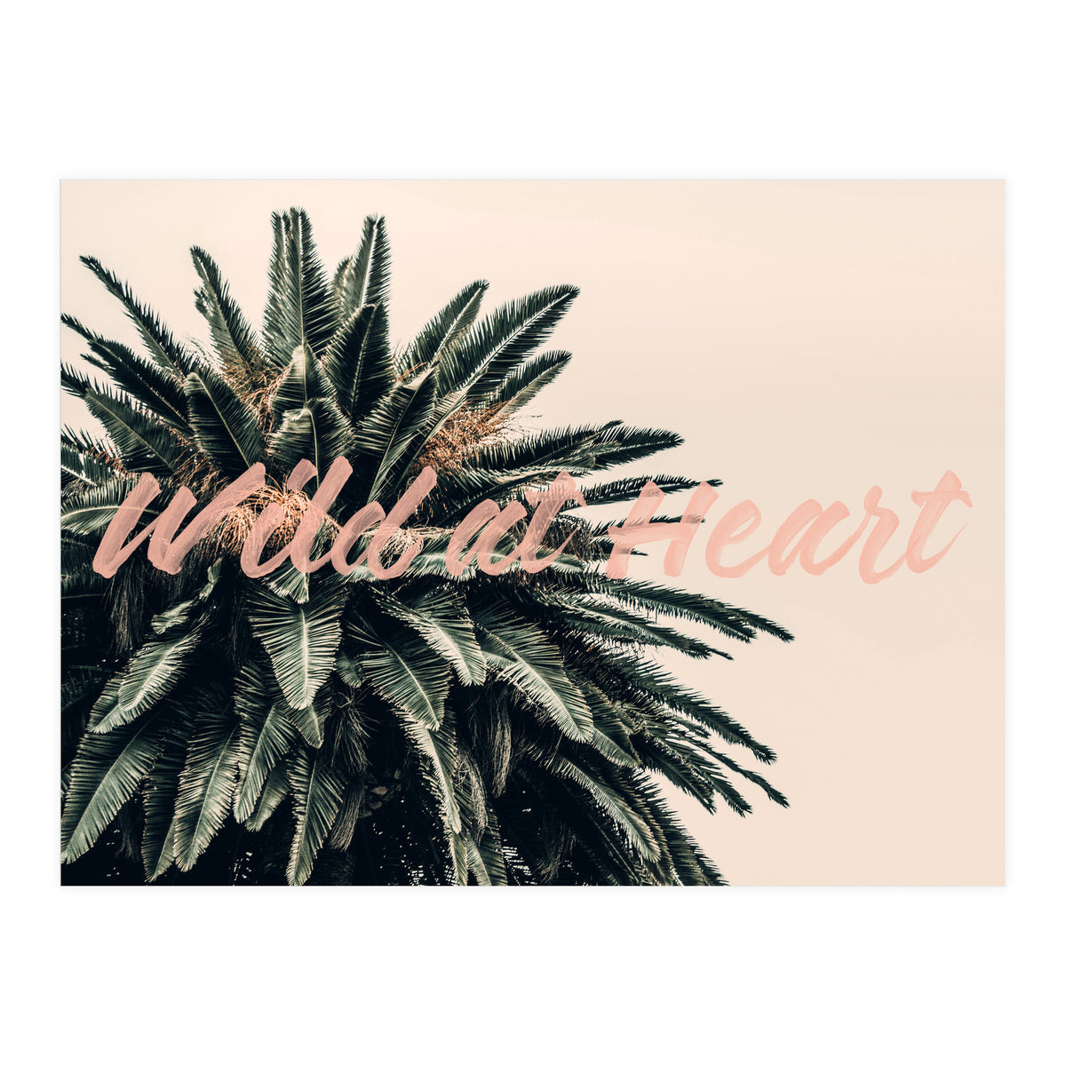 Wild At Heart (Print Only)