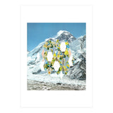 Mountain Flower (Print Only) thumbnail