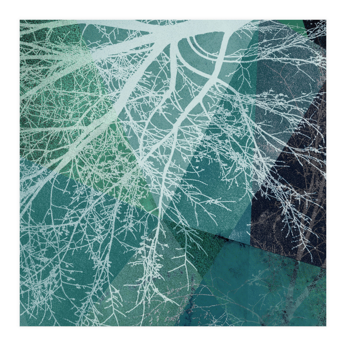 P19-E3 Trees and Triangles (Print Only)