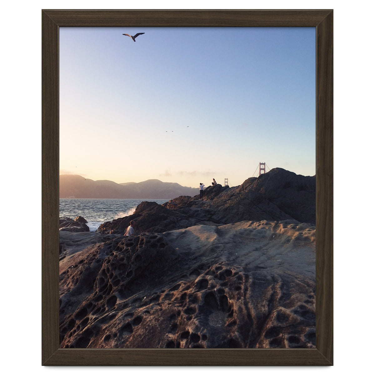 Golden Gate Bridge V