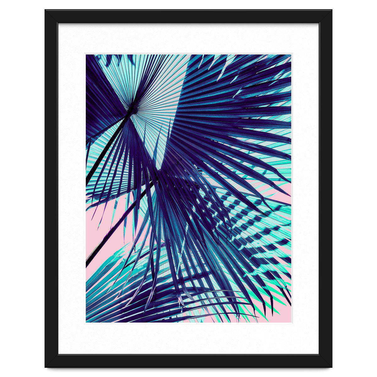 Palm leaf on the beach