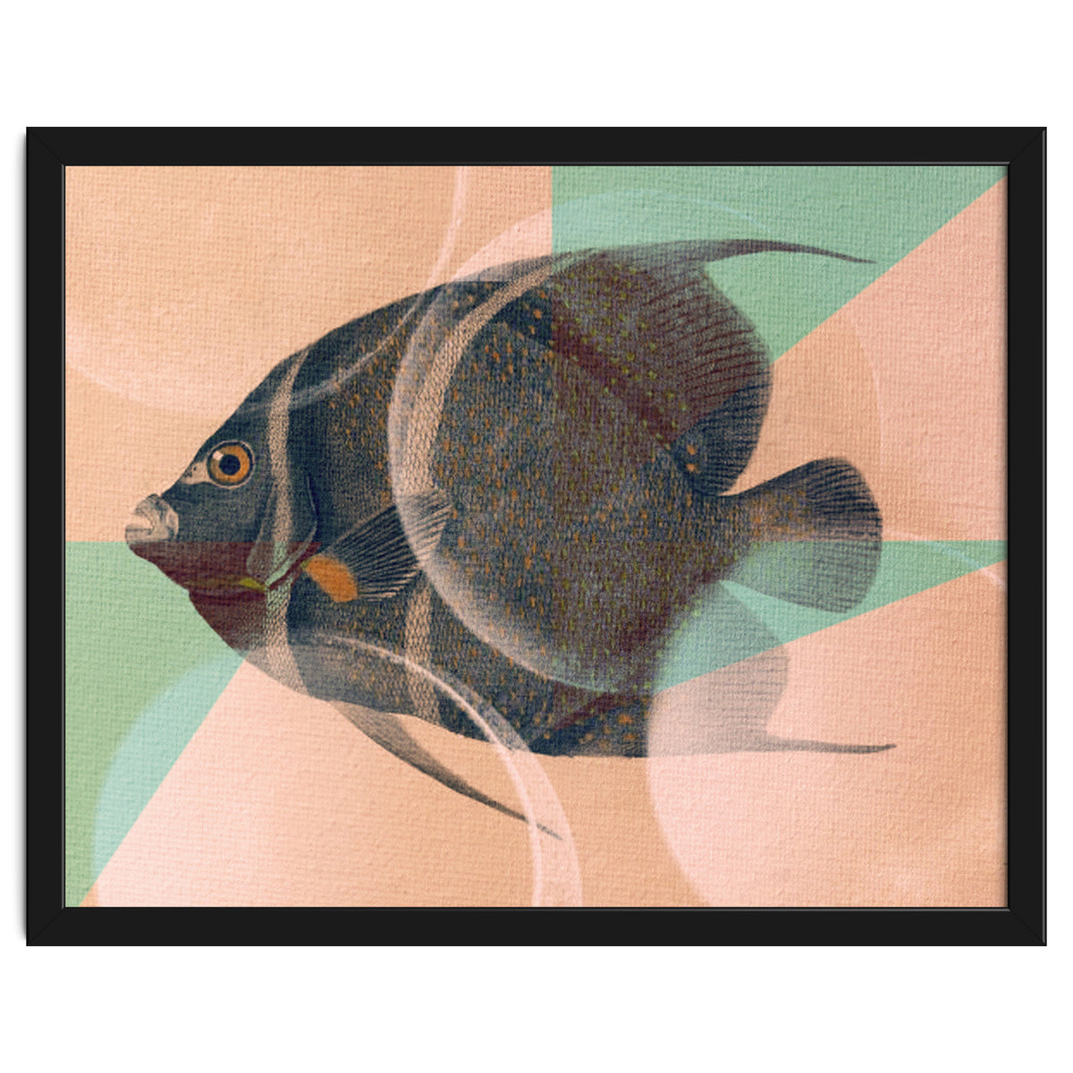 Fish Between Circles 2