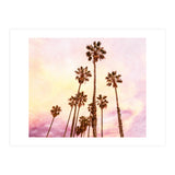 Coconut Groove (Print Only) thumbnail