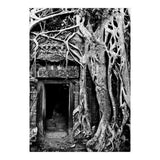 Ta Prohm Temple, Cambodia (Print Only) thumbnail