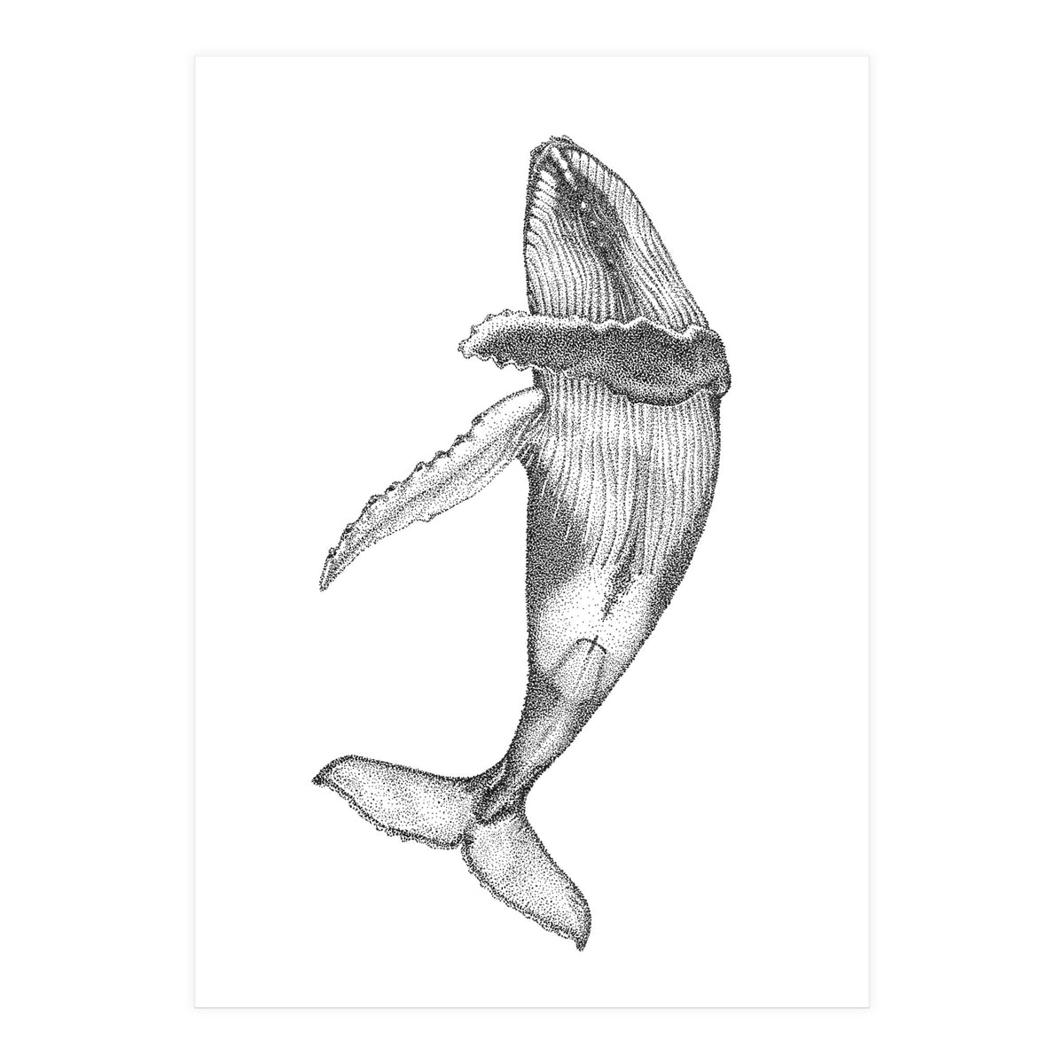 Humpacks no. 2 (Print Only)