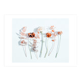 Minima (Print Only) thumbnail