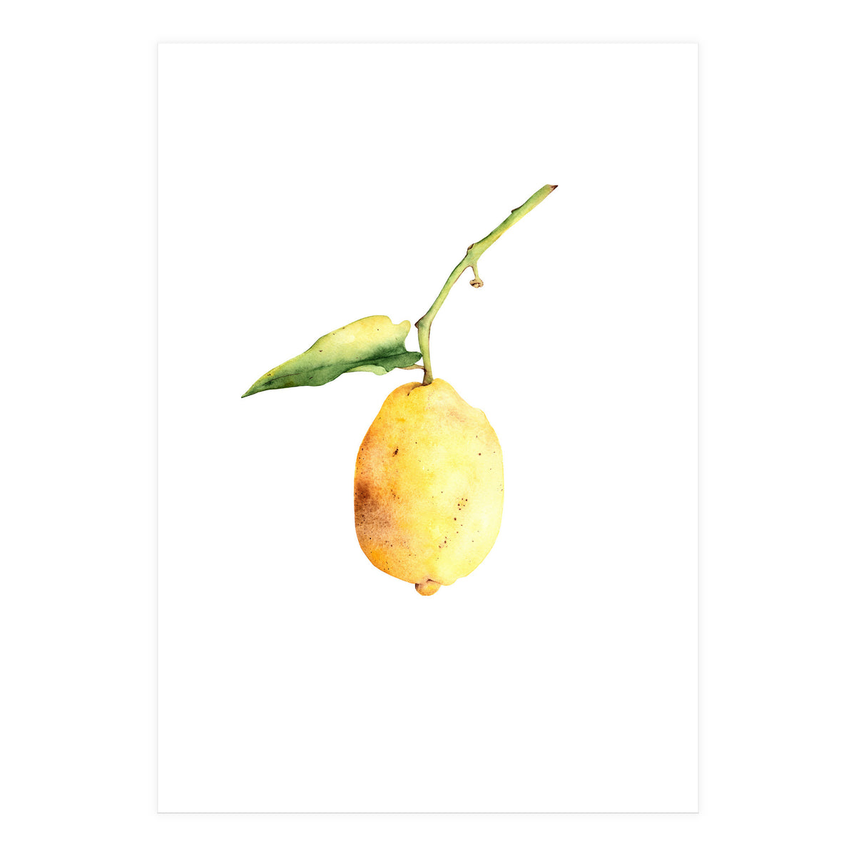 Lemon (Print Only)