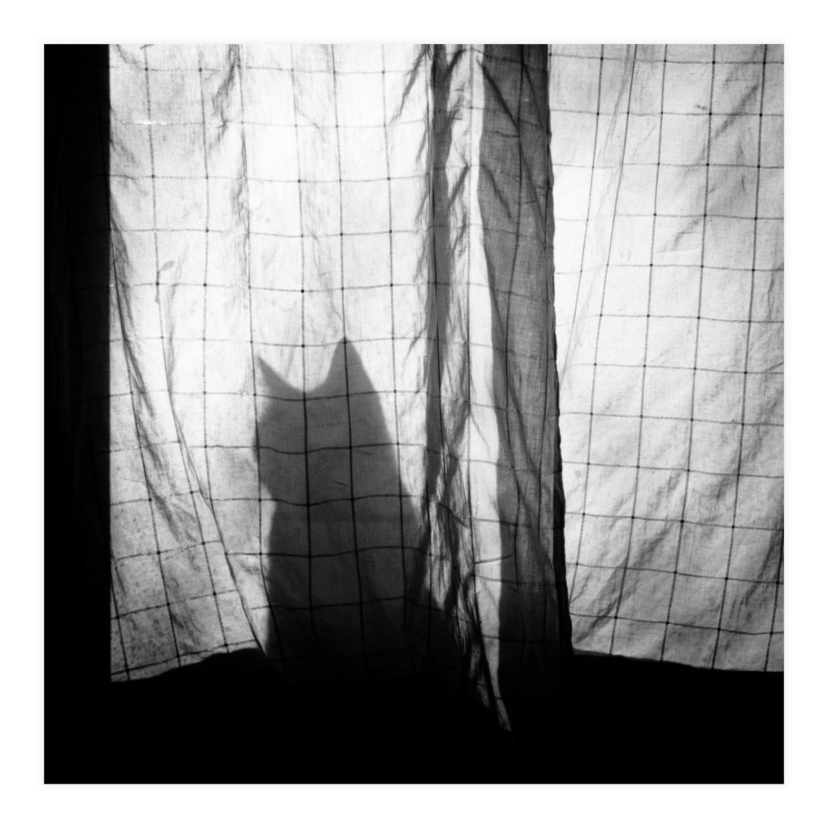 Mr. Wallace (Print Only)