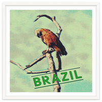 Eagle in Brazil