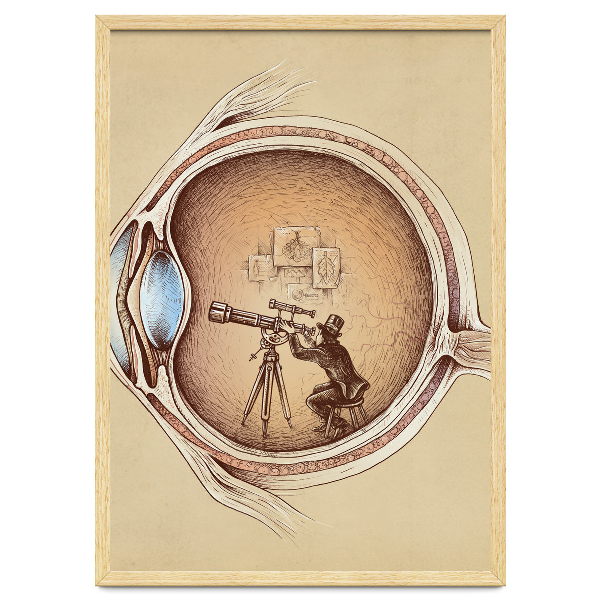 Extraordinary Observer