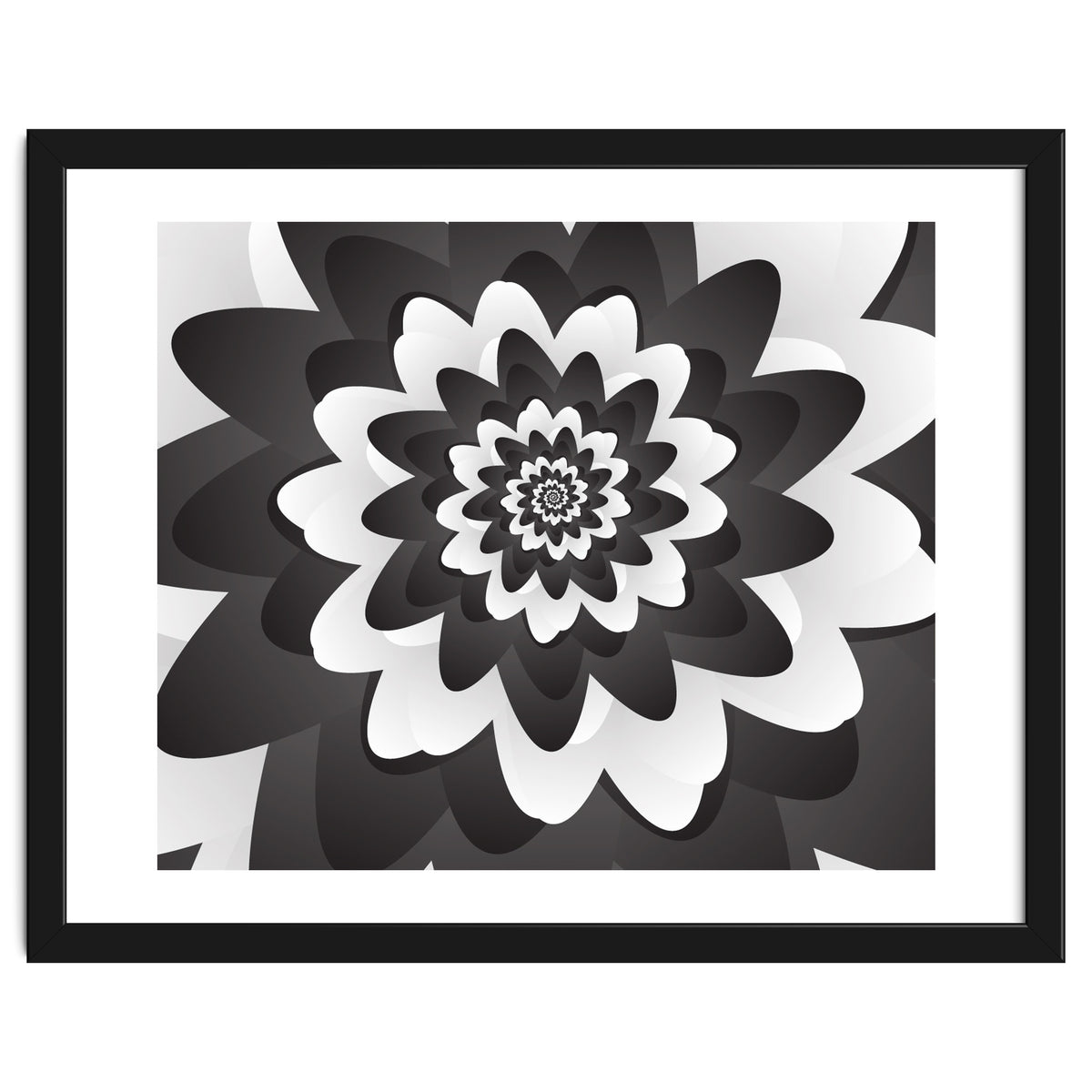 Mono Chrome Flower Spiral Pattern