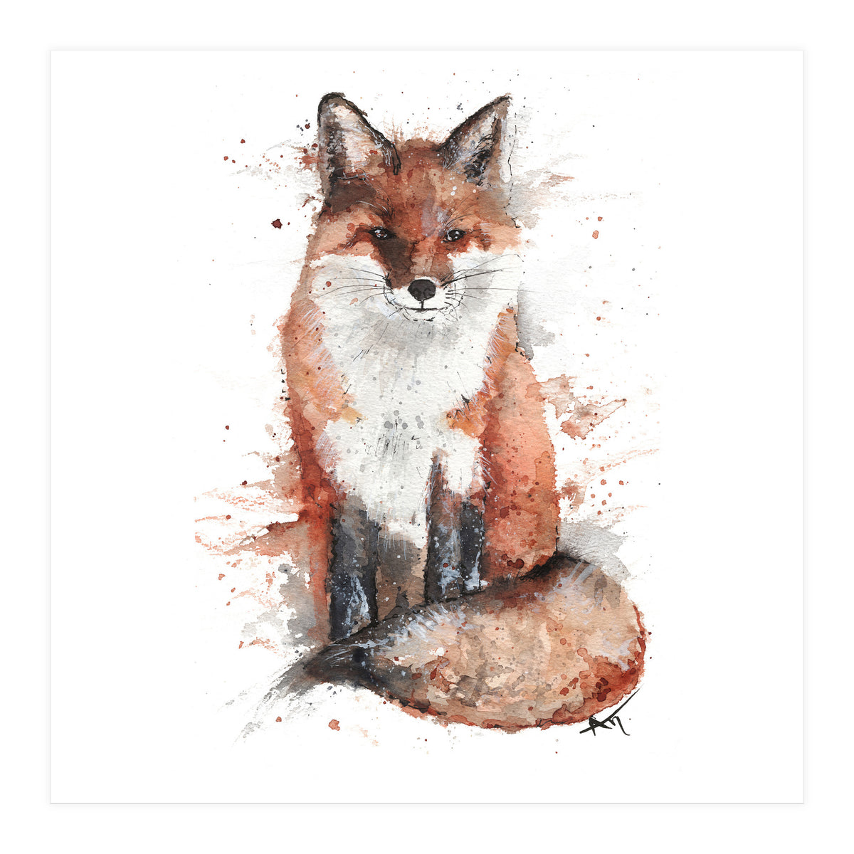 Fox - Wildlife Collection (Print Only)