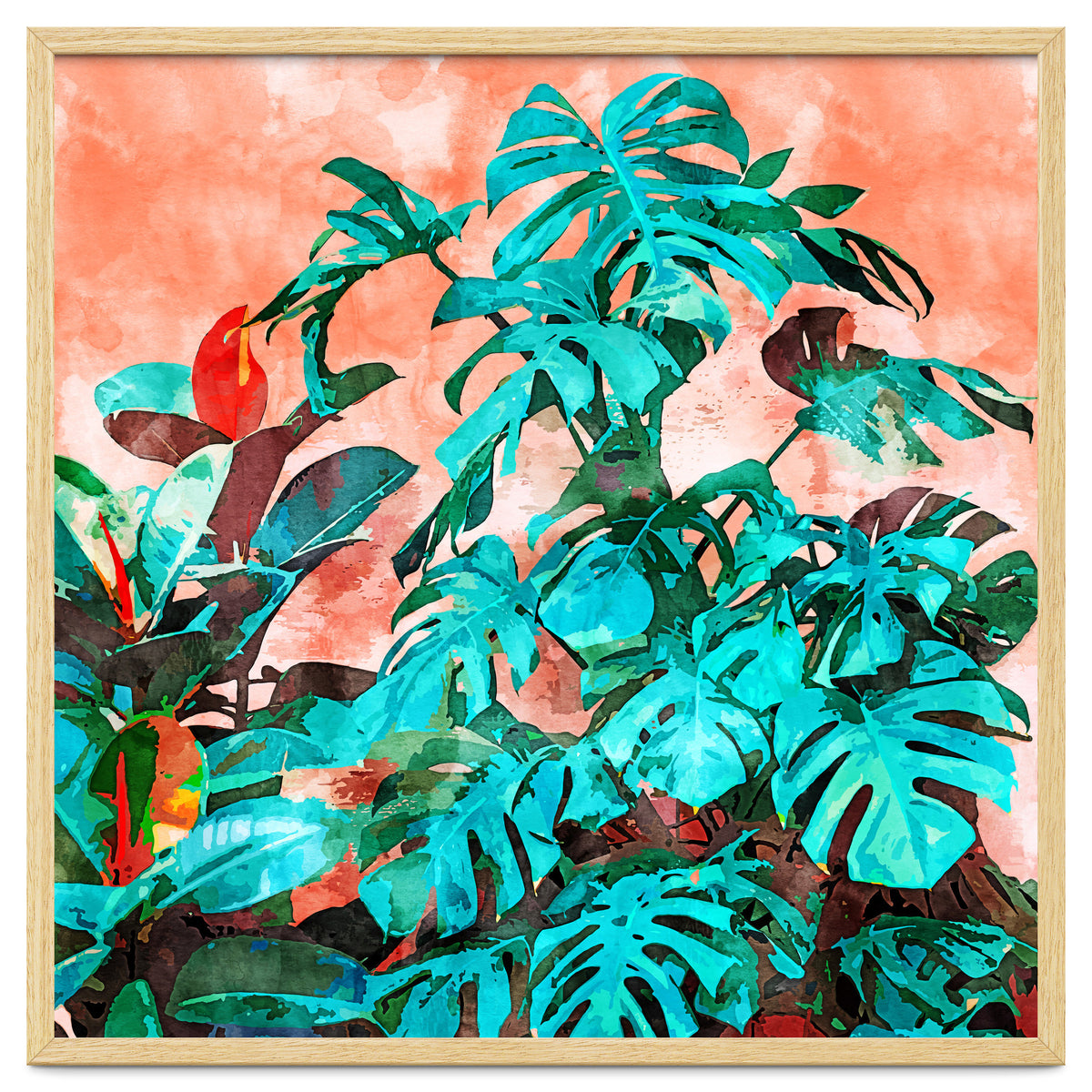 Monstera In My Backyard