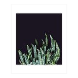 Dark Nature (Print Only) thumbnail