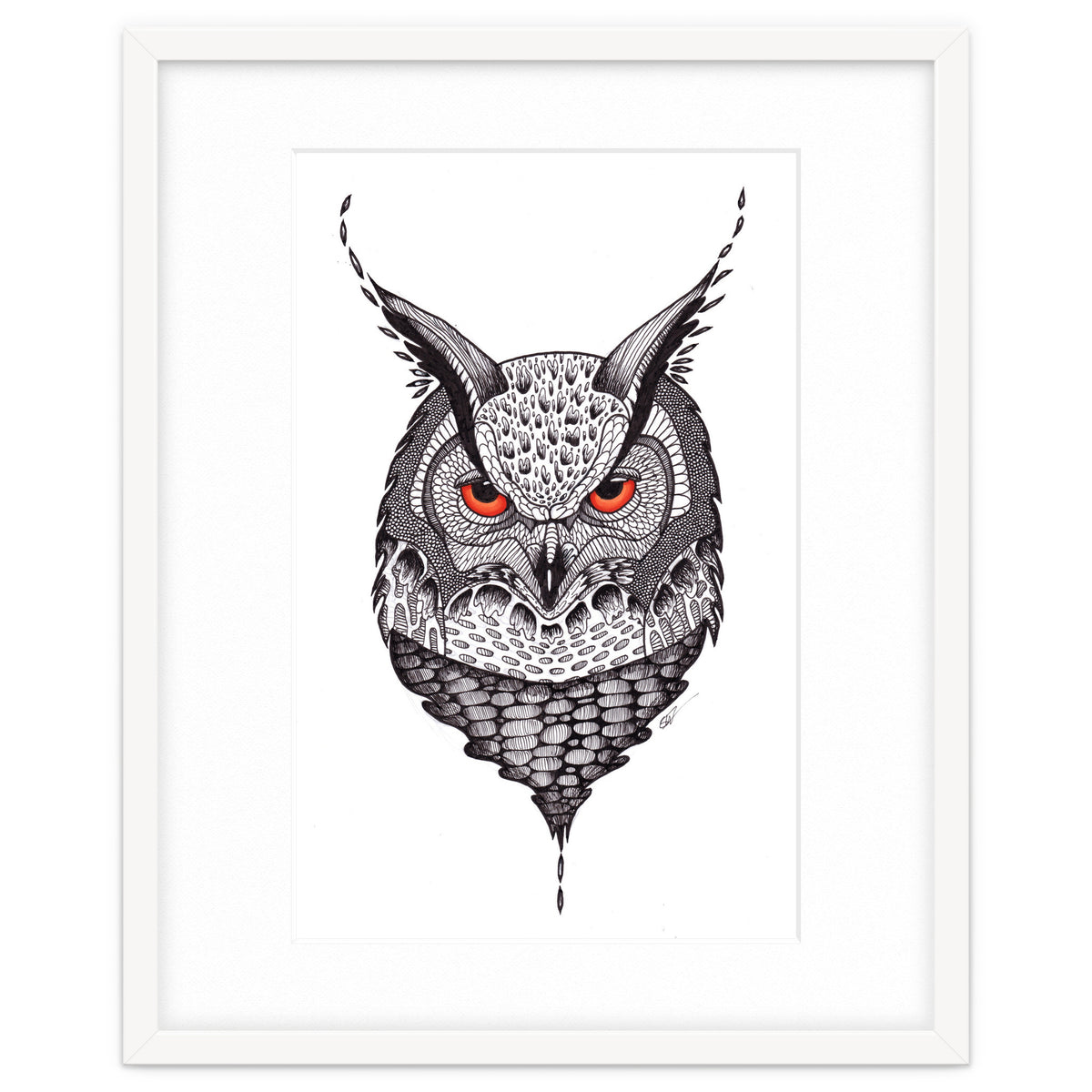 Owl