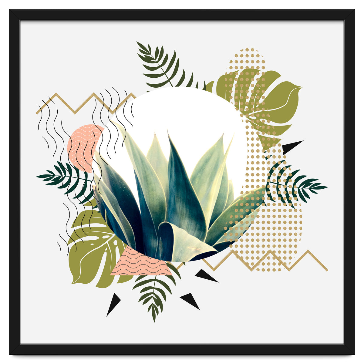 Abstract geometrical and botanical shapes