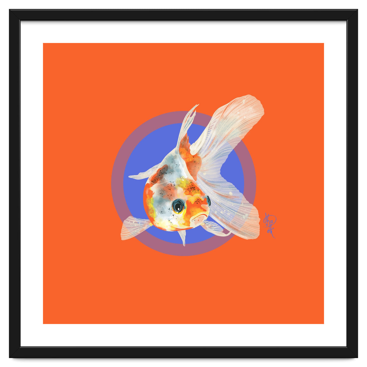 Koi Carp