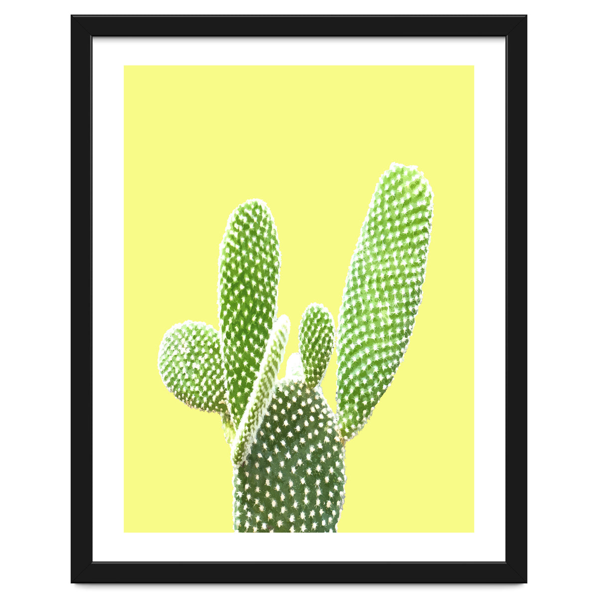 Cactus Yellow Background