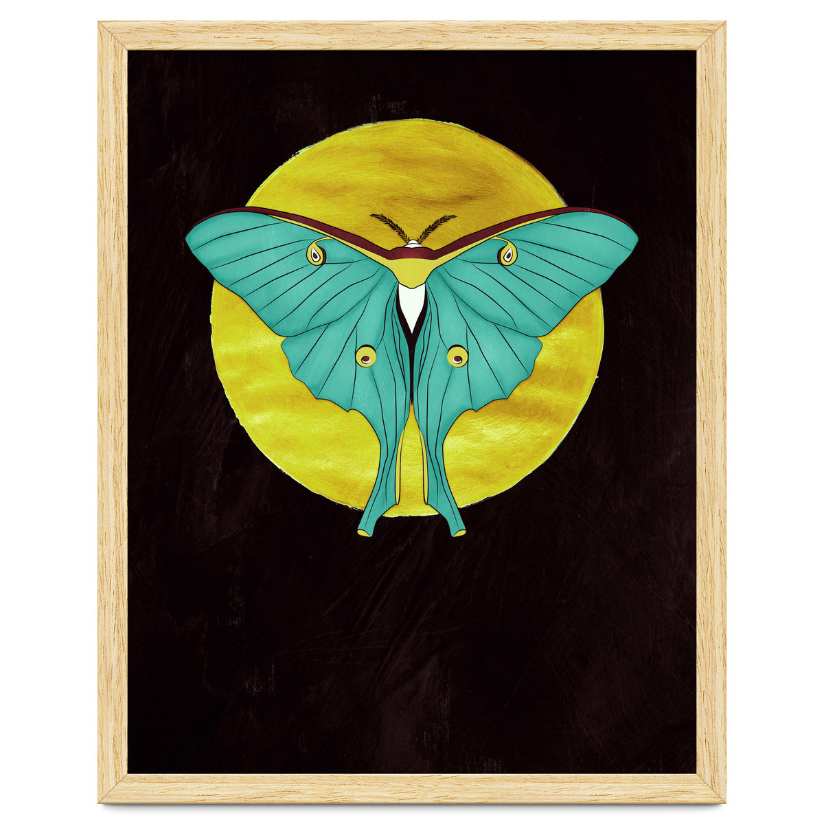 Luna Moth Moon
