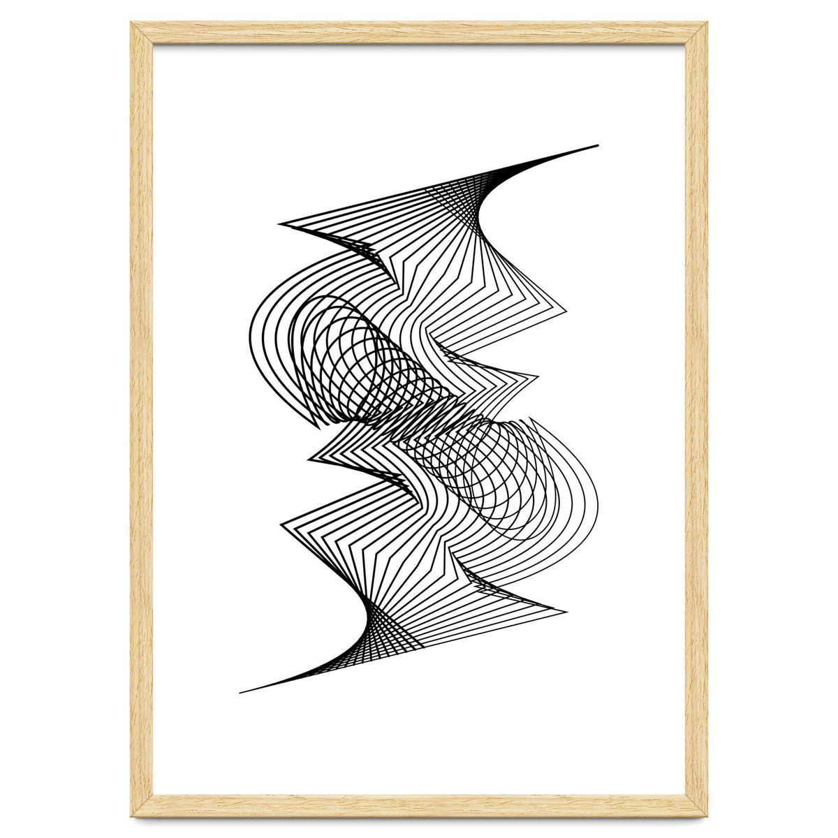 Organized Chaos_White