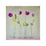 Tulips (Print Only) thumbnail